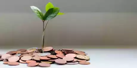 Consultant Conseillé Assistant Secrétaire Designer Graphiste WebDesigner Accompagnateur sur la vie privée et l'écologie sur le web et internet en Suisse La Confédération suisse est un État fédéral d'Europe centrale et de l'Ouest formé de 26 cantons avec Berne pour capitale de factoCanton Argovie, Appenzell Rhodes-Intérieures, Appenzell Innerrhoden, Canton Appenzell Rhodes interieures-Extérieures, Ausserrhoden Herisau Canton Appenzell, Canton Berne Bâle-Campagne Basel-Landschaft Liestal, Bâle-Ville, Basel-Stadt, Canton Bale, Canton Fribourg Freiburg, Canton Geneve Genf, Canton Glaris Glarus, Grisons Graubünden, Canton Jura Delémont, Lucerne, Canton Neuchâtel Neuenburg, Canton Nidwald, Obwald Obwalden Sarnen, Canton Saint-Gall Gallen, Canton Schaffhouse Soleure, Schwyz Schwytz, Canton Thurgovie Thurgau Frauenfeld, Tessin Ticino Bellinzone, Canton Uri Altdorf, Vaud Waadt Lausanne, Valais Wallis Sion, Zoug Zug, Zurich